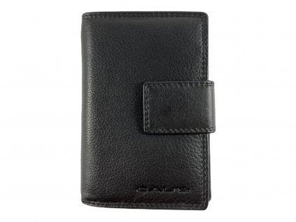 Dámská kožená peněženka - černá SN07