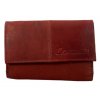 Dámská kožená peněženka - hnědá 449